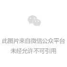 分割線  箭頭 動態