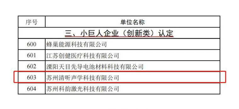 清聽聲學榮獲江蘇省專精特新“小巨人”認證!